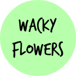 WACKY FLOWERS